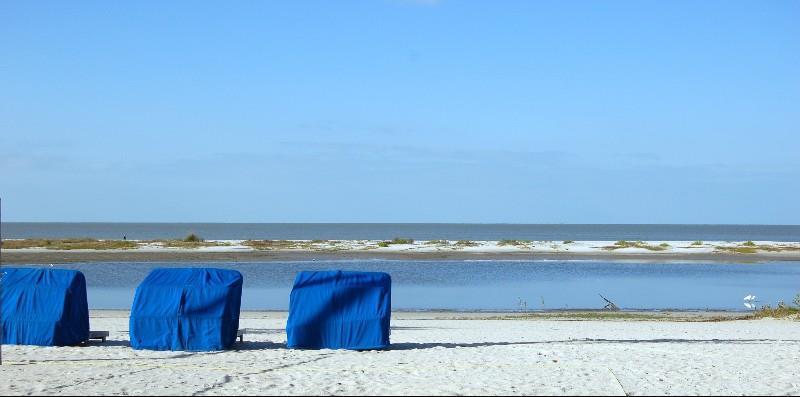 Mariners Boat House & Beach Club Fort Myers Beach Natura zdjęcie